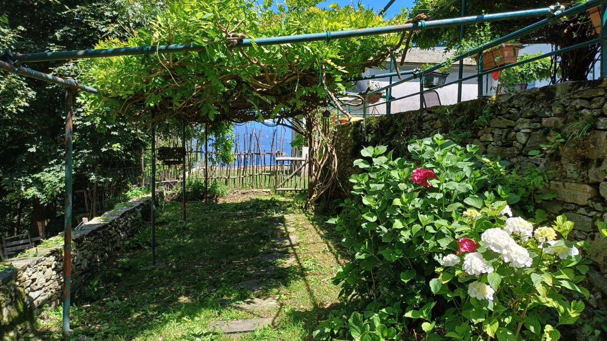 La Stanza Del Bosco Arcumeggia Exterior foto