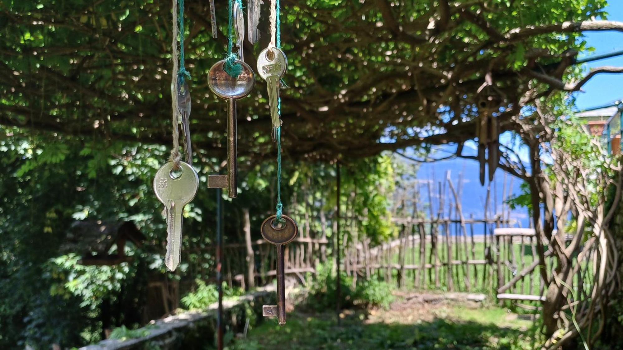 La Stanza Del Bosco Arcumeggia Exterior foto